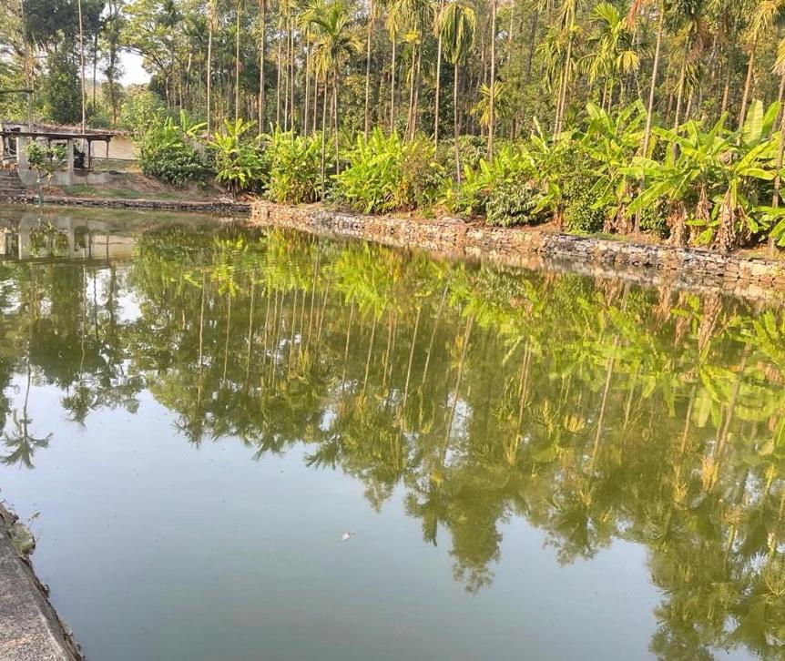 New Organic Home Stay Mudigere Ngoại thất bức ảnh