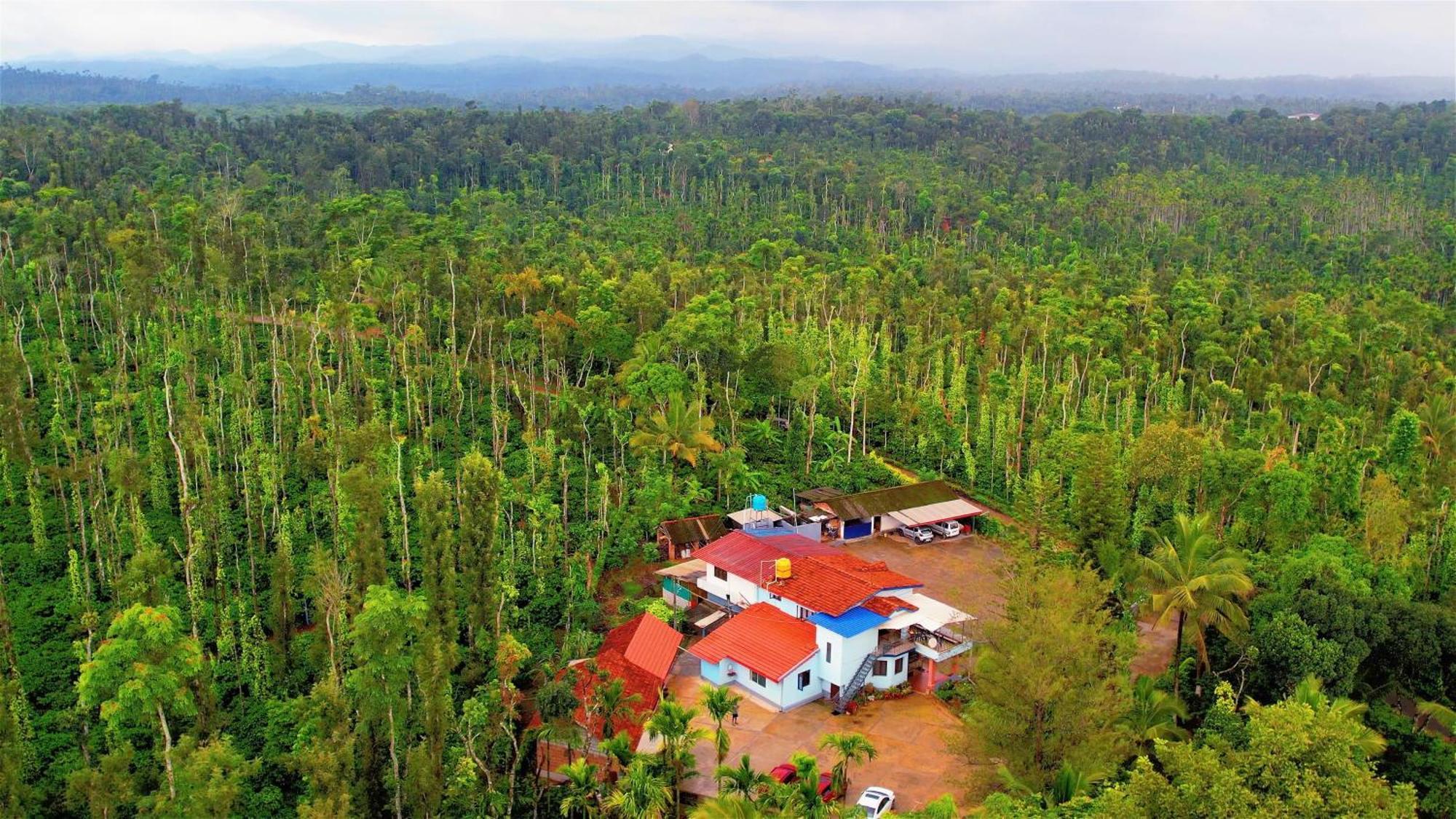 New Organic Home Stay Mudigere Ngoại thất bức ảnh